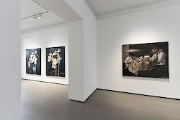 Ausstellungsansicht, Sebastian Schrader, Flowers, REITER | Berlin 2024