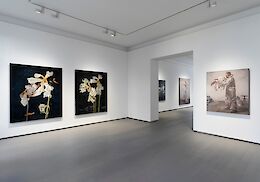 Ausstellungsansicht, Sebastian Schrader, Flowers, REITER | Berlin 2024